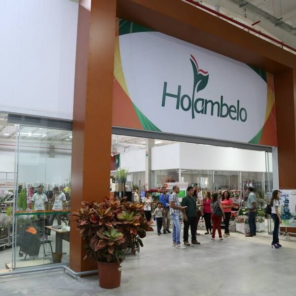 Gran Flora Auction Holambra (Brazil)