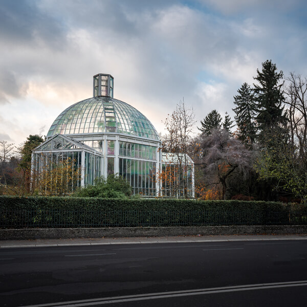Botanical Glasshouse conservatory construction design