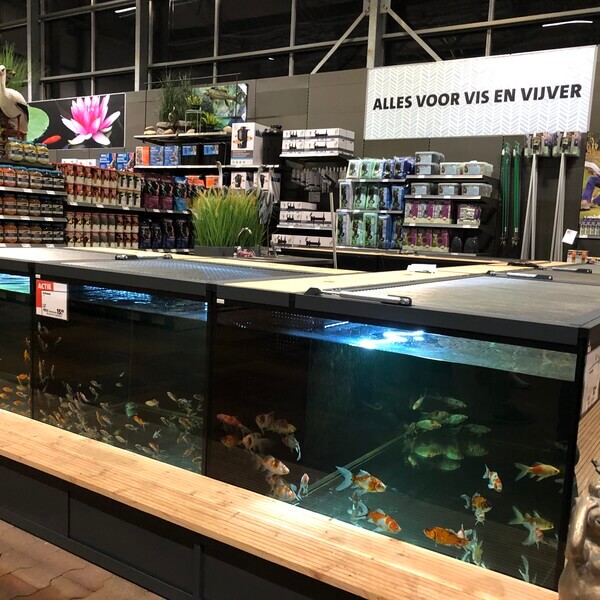 Pond and fish department Garden centre