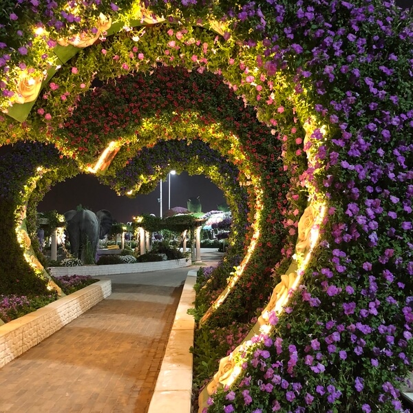 Dubai Miracle Garden (Dubai)