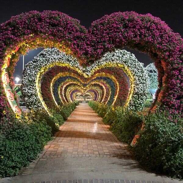 <span>DUBAI Miracle Garden</span> The Beauty of nature in the dessert