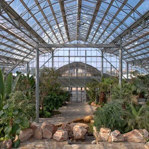 Kuwait Botanical Butterfly garden