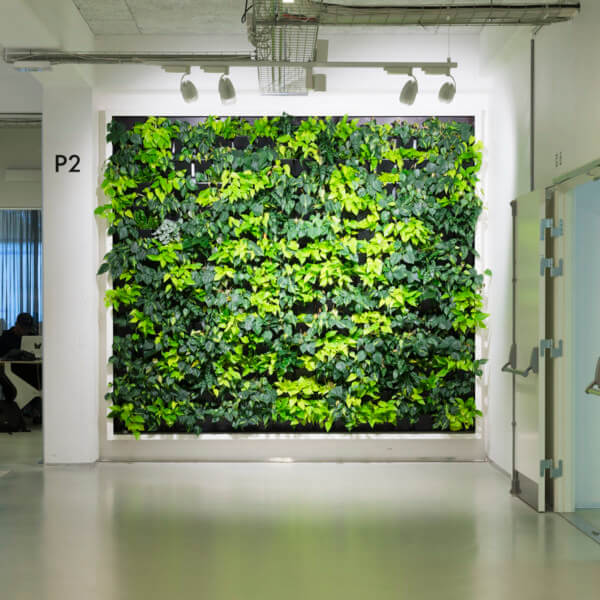Vertical green wall design