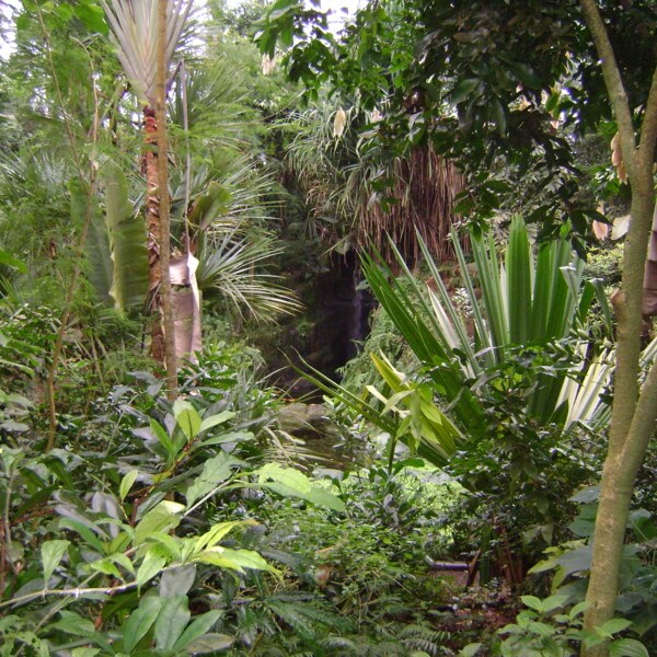 Botanical Garden and Parc design