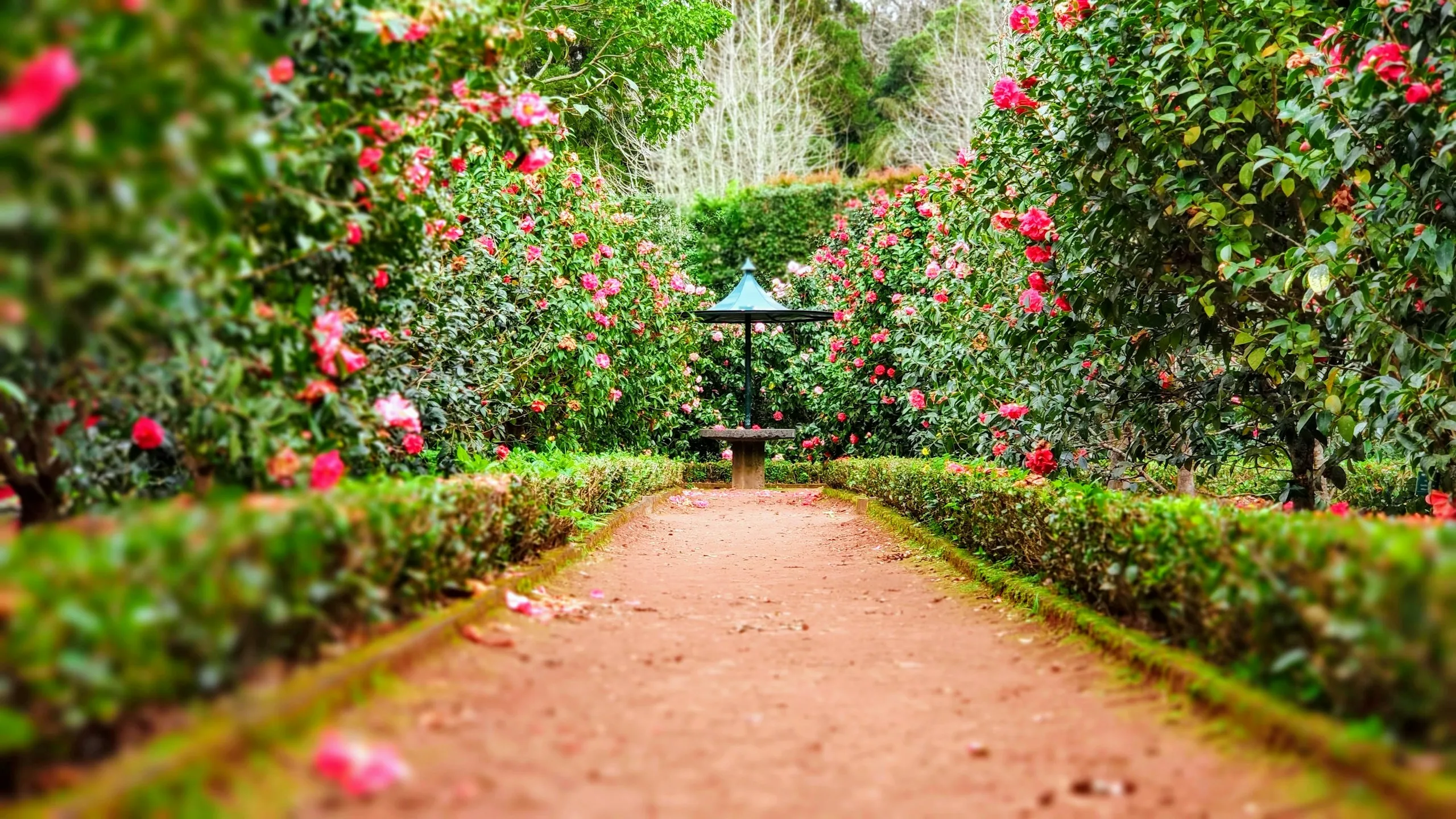 Botanische tuinontwikkelaars in de wereld